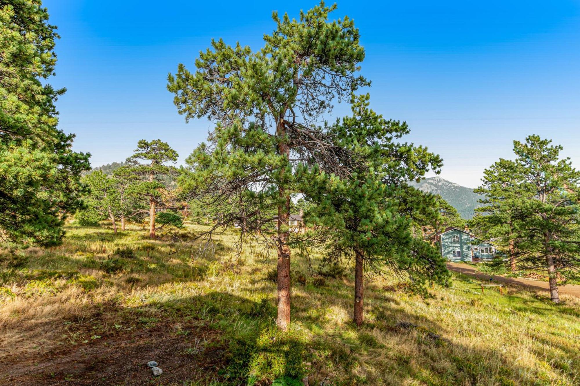 Deer Mountain Lodge South Estes Park Ngoại thất bức ảnh